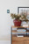 adorne One-Gang-Plus Screwless Wall Plate with Microban (AWP1G2EG)
