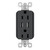 radiant 15A Tamper-Resistant USB Outlet (TM826USBGCCV4)