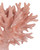 Coral Coral Set of 2 (1200-1082)