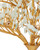 Fiorella 12 Light Chandelier (9000-1344)