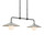 Currey and Company - 9500-0022 - Two Light Pendant - Bothy - Natural/Black/Frosted White