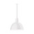 manufacturer_finish:White|light_source:Incandescent or LED equivalent|light_output:Unspecified|color_temperature:Unspecified|cri:Unspecified