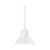 manufacturer_finish:White|light_source:Incandescent or LED equivalent|light_output:Unspecified|color_temperature:Unspecified|cri:Unspecified