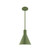 manufacturer_finish:Fern Green|manufacturer_glass:8 inch Jerome|light_source:Incandescent or LED equivalent|light_output:Unspecified|color_temperature:Unspecified|cri:Unspecified