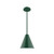 manufacturer_finish:Forest Green|manufacturer_glass:8 inch Jynx|light_source:Incandescent or LED equivalent|light_output:Unspecified|color_temperature:Unspecified|cri:Unspecified