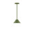 manufacturer_finish:Fern Green|manufacturer_glass:8 inch Pinnacle|light_source:Incandescent or LED equivalent|light_output:Unspecified|color_temperature:Unspecified|cri:Unspecified