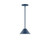 manufacturer_finish:Navy|manufacturer_glass:8 inch Pinnacle|light_source:Incandescent or LED equivalent|light_output:Unspecified|color_temperature:Unspecified|cri:Unspecified