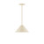 manufacturer_finish:Cream|manufacturer_glass:12 inch Pinnacle|light_source:Incandescent or LED equivalent|light_output:Unspecified|color_temperature:Unspecified|cri:Unspecified
