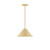 manufacturer_finish:Ivory|manufacturer_glass:12 inch Pinnacle|light_source:Incandescent or LED equivalent|light_output:Unspecified|color_temperature:Unspecified|cri:Unspecified