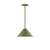 manufacturer_finish:Fern Green|manufacturer_glass:12 inch Pinnacle|light_source:Incandescent or LED equivalent|light_output:Unspecified|color_temperature:Unspecified|cri:Unspecified
