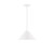 manufacturer_finish:White|manufacturer_glass:12 inch Pinnacle|light_source:Incandescent or LED equivalent|light_output:Unspecified|color_temperature:Unspecified|cri:Unspecified