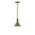 manufacturer_finish:Fern Green|manufacturer_glass:8 inch Chase|light_source:Incandescent or LED equivalent|light_output:Unspecified|color_temperature:Unspecified|cri:Unspecified