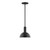 manufacturer_finish:Black|manufacturer_glass:8 inch Ray|light_source:Incandescent or LED equivalent|light_output:Unspecified|color_temperature:Unspecified|cri:Unspecified