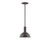 manufacturer_finish:Architectural Bronze|manufacturer_glass:8 inch Ray|light_source:Incandescent or LED equivalent|light_output:Unspecified|color_temperature:Unspecified|cri:Unspecified