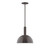 manufacturer_finish:Architectural Bronze|manufacturer_glass:12 inch Ray|light_source:Incandescent or LED equivalent|light_output:Unspecified|color_temperature:Unspecified|cri:Unspecified