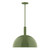 manufacturer_finish:Fern Green|manufacturer_glass:18 inch Ray|light_source:Incandescent or LED equivalent|light_output:Unspecified|color_temperature:Unspecified|cri:Unspecified