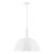 manufacturer_finish:White|manufacturer_glass:18 inch Ray|light_source:Incandescent or LED equivalent|light_output:Unspecified|color_temperature:Unspecified|cri:Unspecified