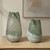 Chianti Vases Set/2 (18318)
