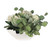 Protea Blooms Bowl Centerpiece (60256)
