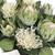 Protea Blooms Bowl Centerpiece (60256)