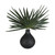 Uttermost - 60259 - Vase - Axis Palm - Matte Black