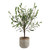 Uttermost - 60264 - Vase - Solea Olive - Green And Silvery