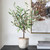 Solea Olive Vase (60264)