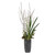 Eterna Orchid Vase Centerpiece (60265)
