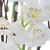 Eterna Orchid Vase Centerpiece (60265)