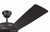 Eos Clear 4 Light 52" Ceiling Fan (ECF104CBZ5-CBZWLN)