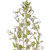 Josie Six Light Chandelier (4846-CT)