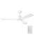 Volos Ii 54" Ceiling Fan (300054-MWH)