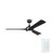 Veetra 56" Ceiling Fan (300056-BK)