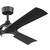 Veetra 56" Ceiling Fan (300056-BK)