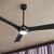 Veetra 56" Ceiling Fan (300056-BK)