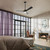 Veetra 56" Ceiling Fan (300056-BK)