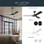Veetra 56" Ceiling Fan (300056-BK)