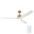 Calyx 60" Ceiling Fan (300360-CPZ)