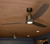 Calyx 60" Ceiling Fan (300360-HBB)