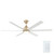 Solen 65" Ceiling Fan (310065-CPZ)