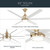Solen 65" Ceiling Fan (310065-CPZ)