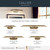 Caillier LED Picture Light (52818CPZ)