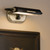 Caillier LED Picture Light (52819BK)