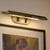 Caillier LED Picture Light (52820LBZ)