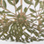 Broche 12 Light Chandelier (569-CT)
