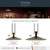 Tenon LED Pendant (52832BKLED)