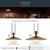 Tenon LED Pendant (52832LBZLED)