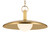 Kurio LED Pendant (52835LBR)