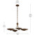 Palmela Four Light Chandelier/Semi Flush (52854LBRLBZ)