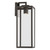 Branner One Light Outdoor Wall Mount (59113OZDS)
